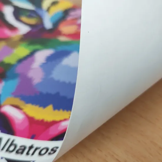 Print Indoor Albatros
