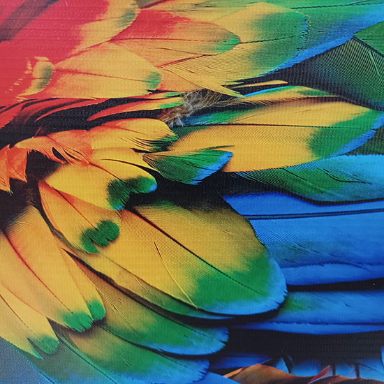 Print UV Flexi 280gr 