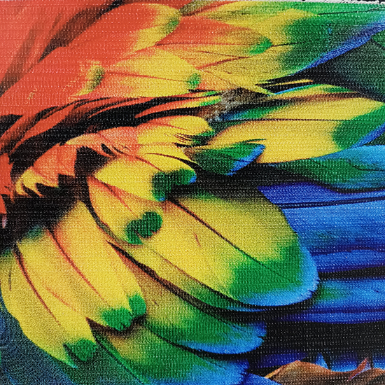 Print Outdoor Flexi 280gr