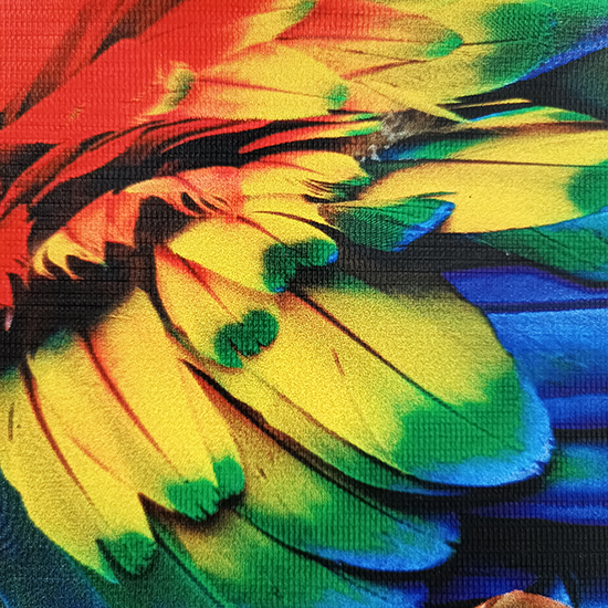 Print Outdoor Flexi 340gr Blackout