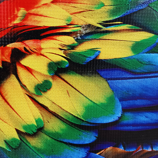 Print Outdoor Flexi Korea 440gr Blackout