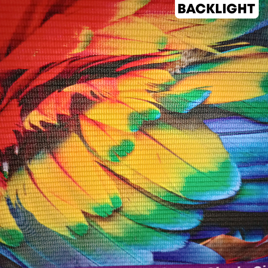 Print Outdoor Backlite China 550gr