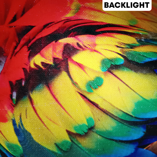 Print Outdoor Backlite Jerman 550gr